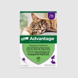 ADVANTIX - Antiparasitaire Externe Petit Chien, 4 pipettes