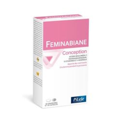 FEMINABIANE CONCEPTIO