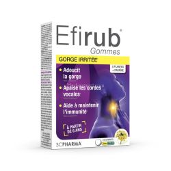 EFIRUB Gommes Gorge Irritée x24 gommes