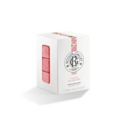 FLEUR DE FIGUIER Coffret Savons Bienfaisants 300 g