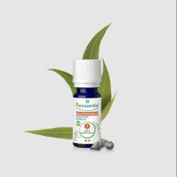 Huile Essentielle Eucalyptus Globuleux BIO 10ml